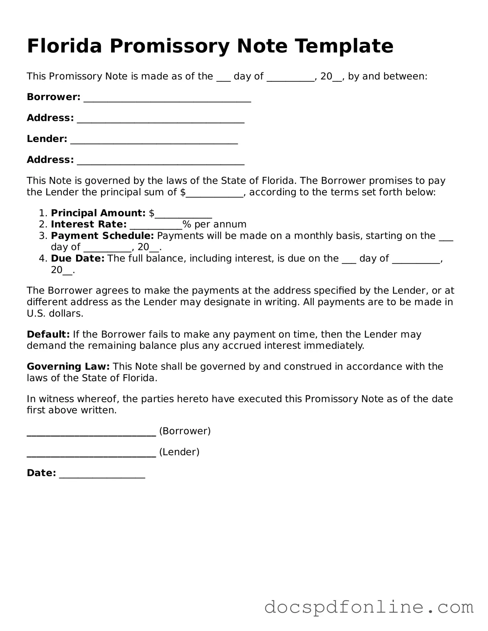 Legal  Promissory Note Template for Florida