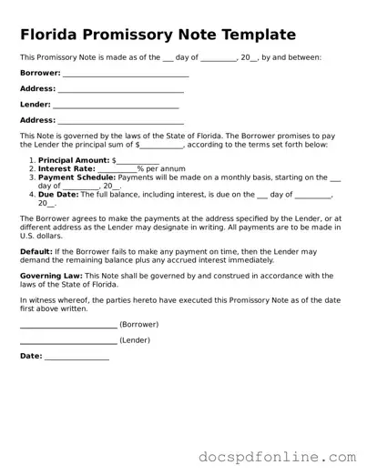 Legal  Promissory Note Template for Florida